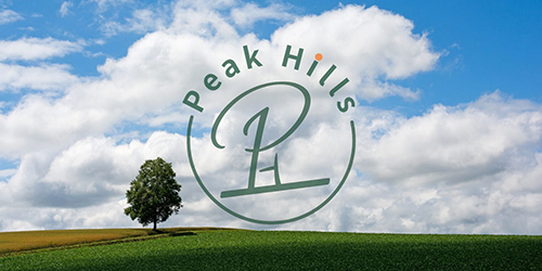 横浜シゲンボックス 横浜シゲンボックス